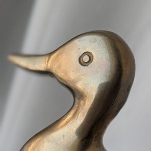 Brass Duck